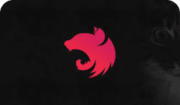 logo do framework nestjs